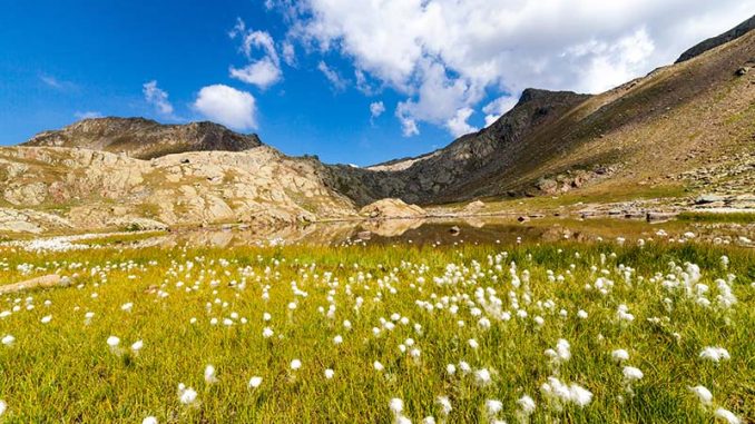 IMG_0520-678x381 Ai Laghi di Pietrarossa in Val Cané