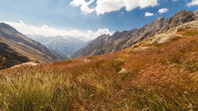 IMG_0538-678x381 Ai Laghi di Pietrarossa in Val Cané