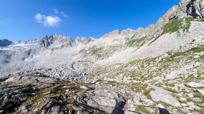 IMG_0604-678x381 Il Sentiero dei fiori al Passo del Tonale