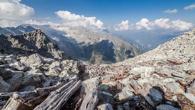 IMG_0623-678x381 Il Sentiero dei fiori al Passo del Tonale