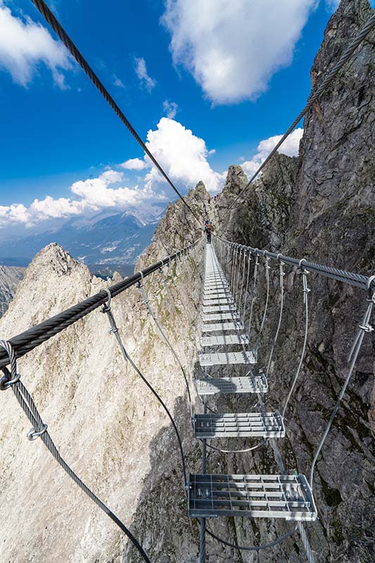 IMG_0690 Il Sentiero dei fiori al Passo del Tonale
