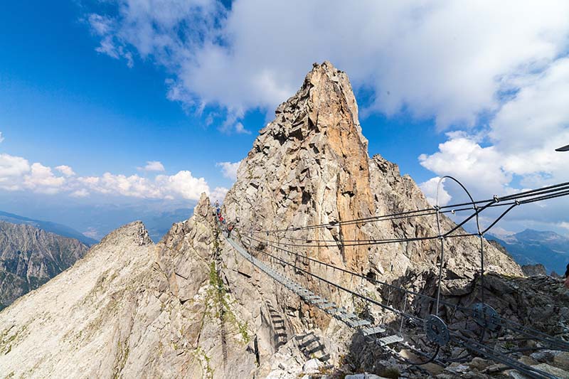 IMG_0700 Il Sentiero dei fiori al Passo del Tonale