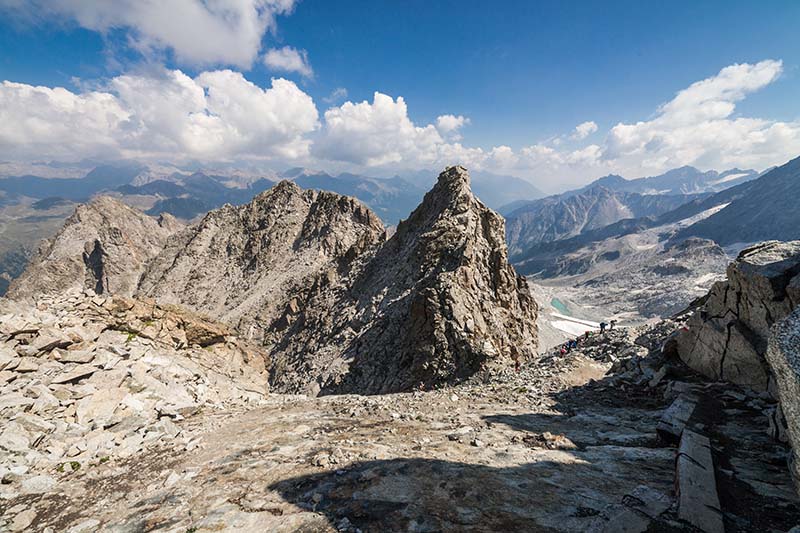 IMG_0733 Il Sentiero dei fiori al Passo del Tonale