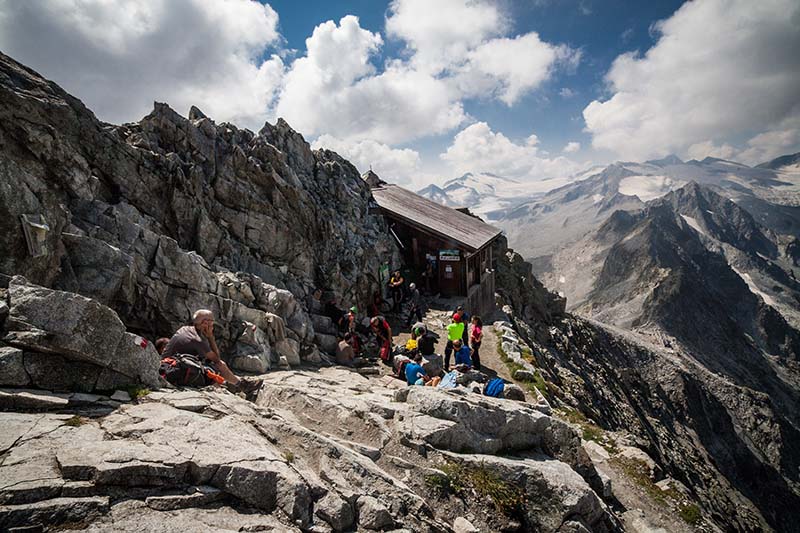 IMG_0736 Il Sentiero dei fiori al Passo del Tonale
