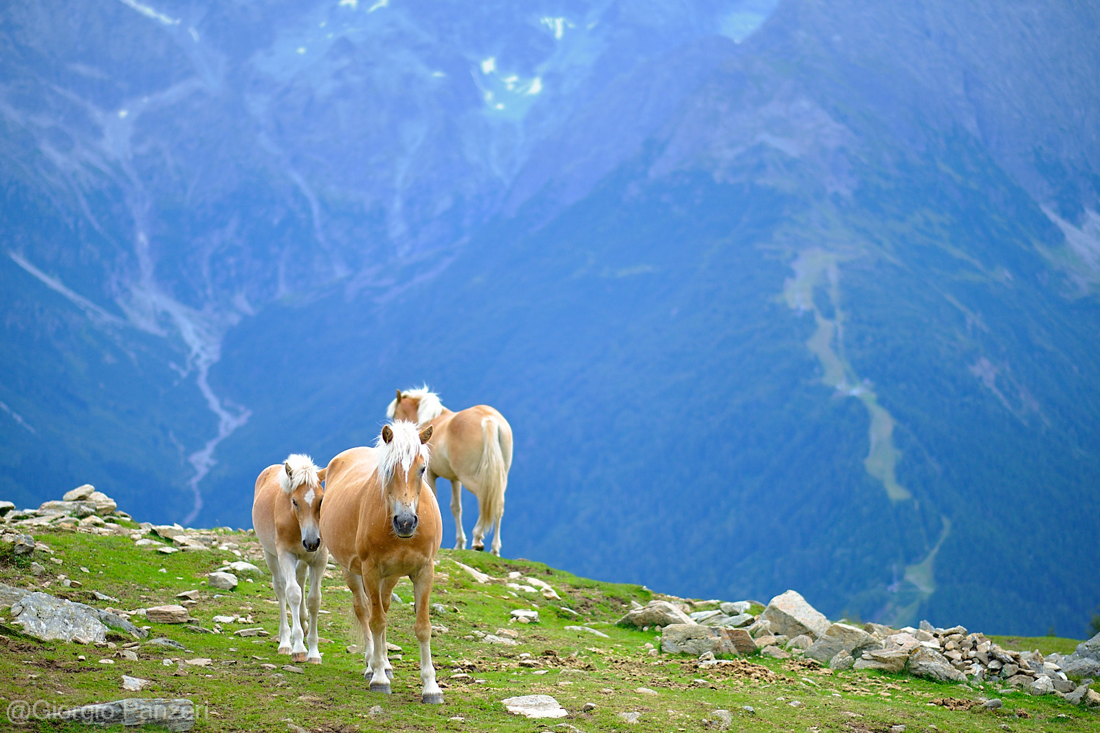 DSCF1036 L’anello da Sant’Apollonia alle Bocchette di Val Massa a Ponte di Legno