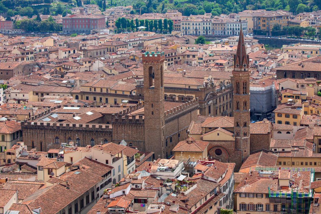 IMG_7858-1024x683 Firenze vista dall’alto