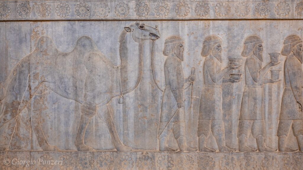 DSCF3272-1-1024x574 Iran: Persepoli, capitale dell’impero achemenide