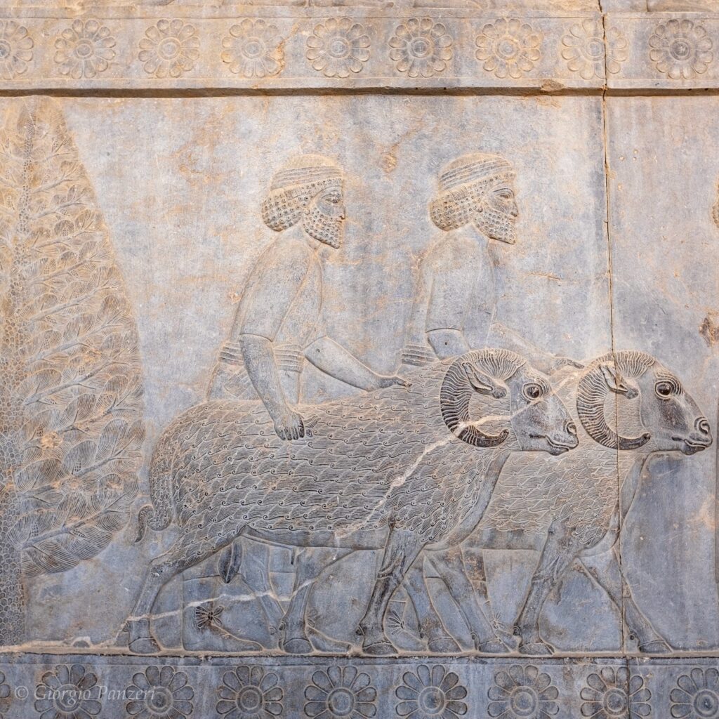 DSCF3273-1-1024x1024 Iran: Persepoli, capitale dell’impero achemenide