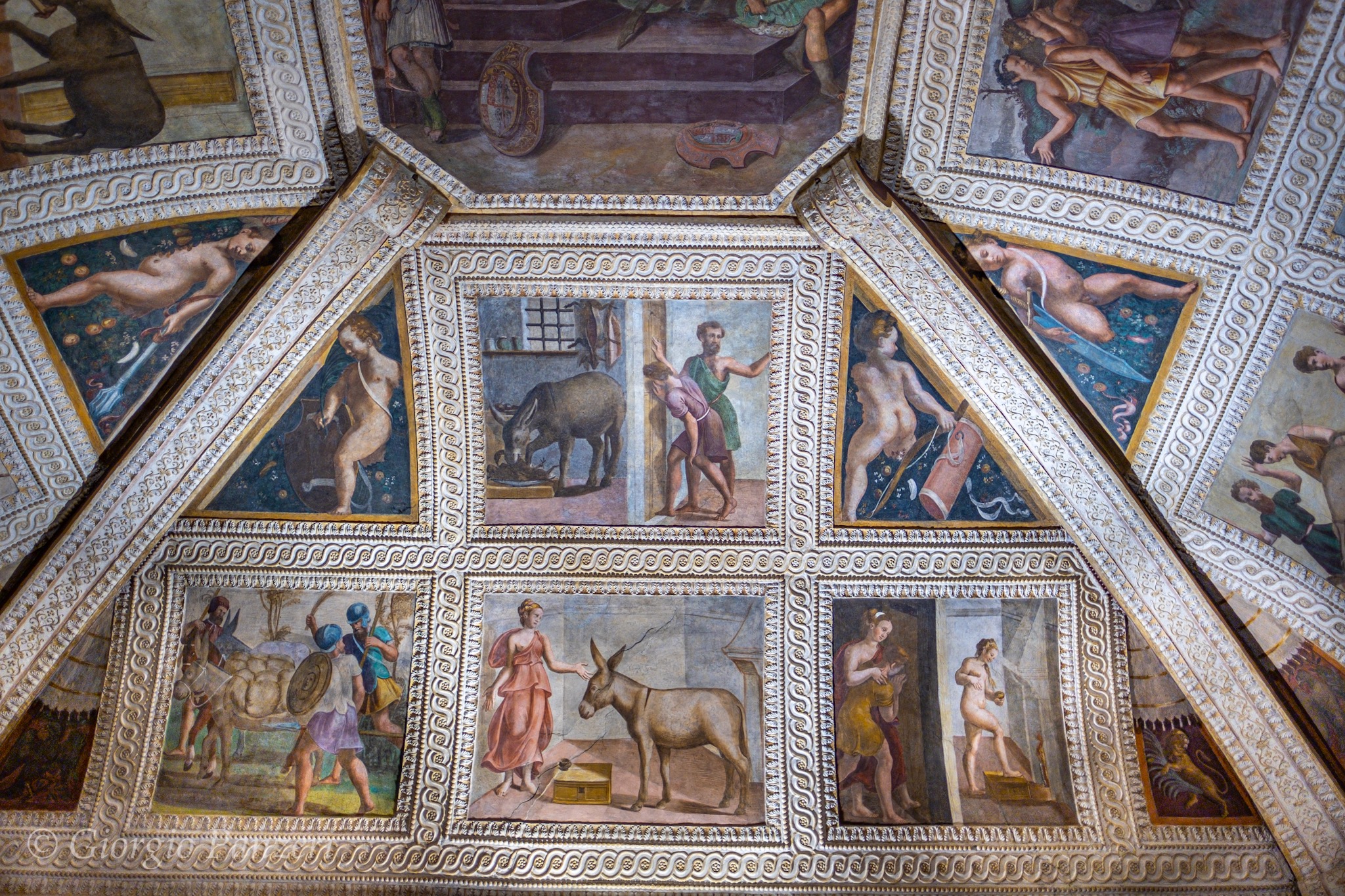 DSCF8371 La Rocca dei Rossi di San Sepolcro: un piccolo gioiello poco conosciuto