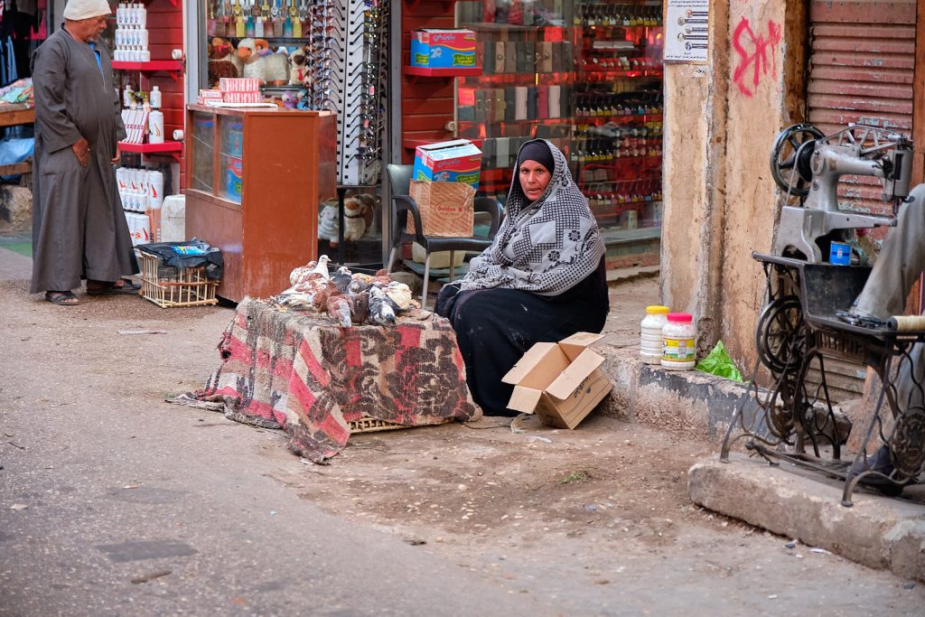 DSCF0655-C1-1024x683 Suk e mercatini nelle città lungo il Nilo