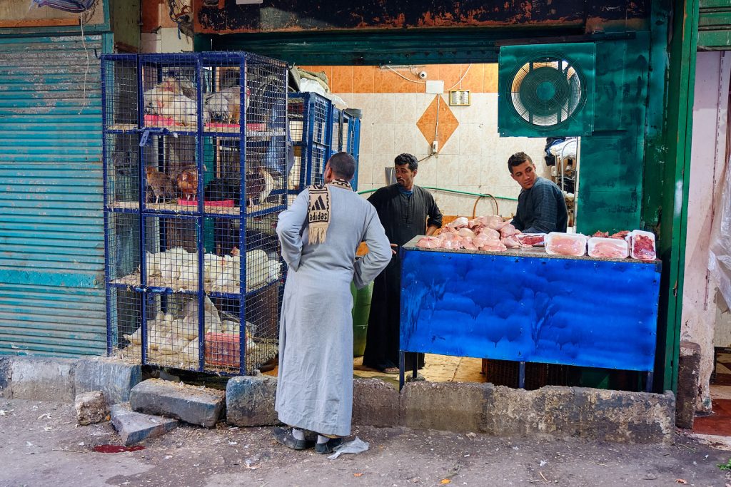 DSCF0672-C1-1024x683 Suk e mercatini nelle città lungo il Nilo