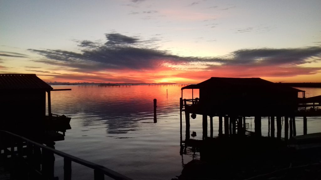 delta_20-1024x576 Rovigo: piccola destinazione ma grande scoperta