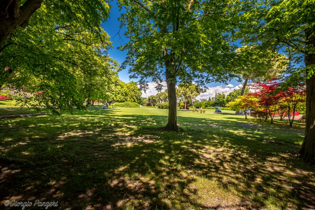 DSCF1967-LT-1024x683 Parco Giardino di Sicurtà a Valeggio sul Mincio