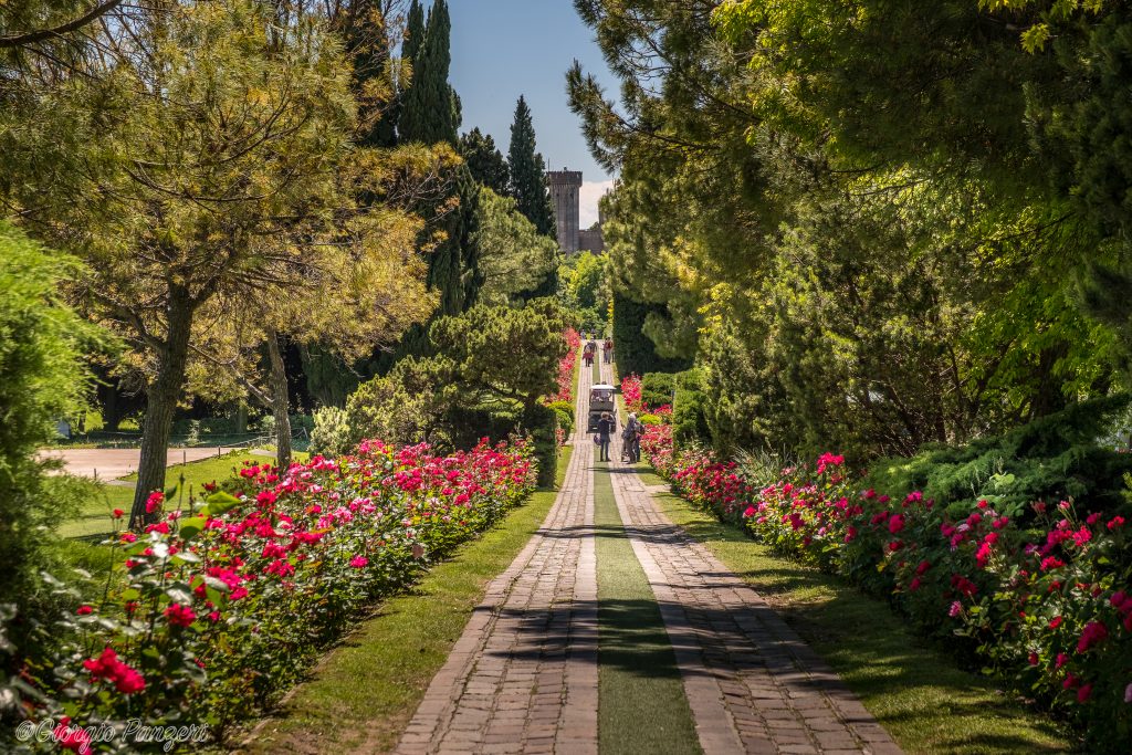 DSCF3118-LT-1024x683 Parco Giardino di Sicurtà a Valeggio sul Mincio