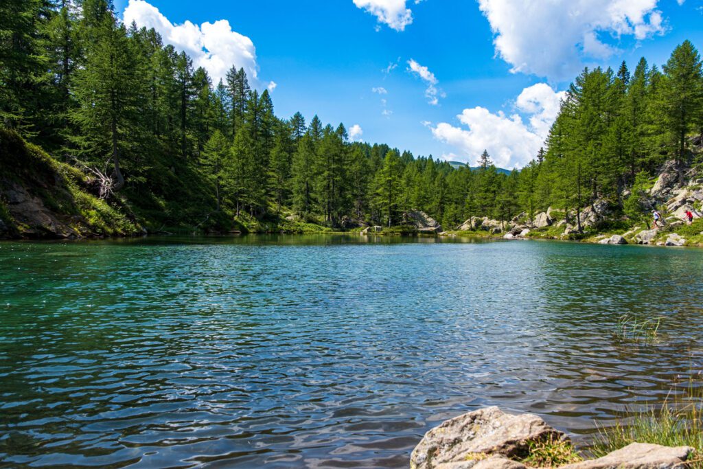 DSF7676-1024x683 Alpe Devero: un’oasi di pace e serenità