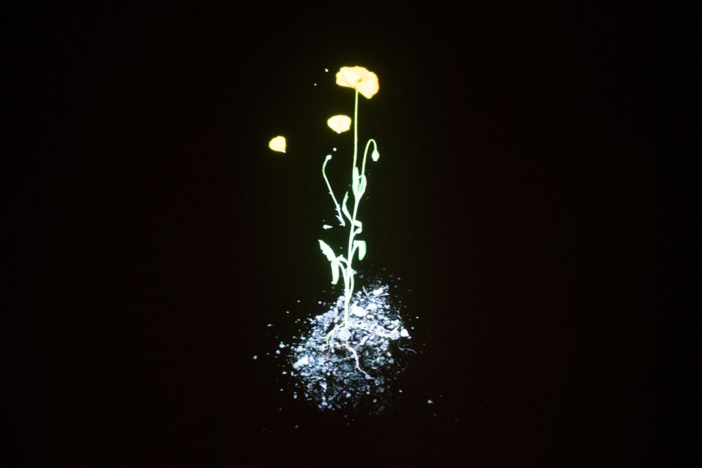 DSF8193-1024x683 Dublino: Museo Galleria Nazionale d’Irlanda