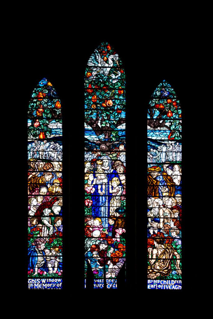 DSF8218-683x1024 Dublino: Cattedrale di San Patrizio