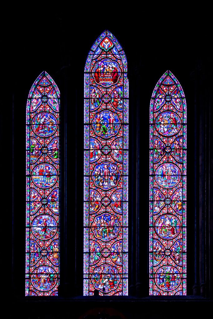 DSF8233-683x1024 Dublino: Cattedrale di San Patrizio