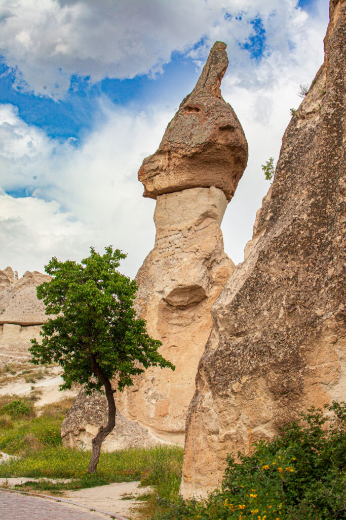 IMG_8796-683x1024 Turchia: i camini delle fate