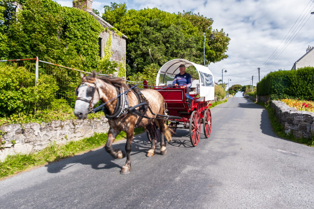 DSF8778-1024x683 Irlanda: Isole Aran - Inishmore