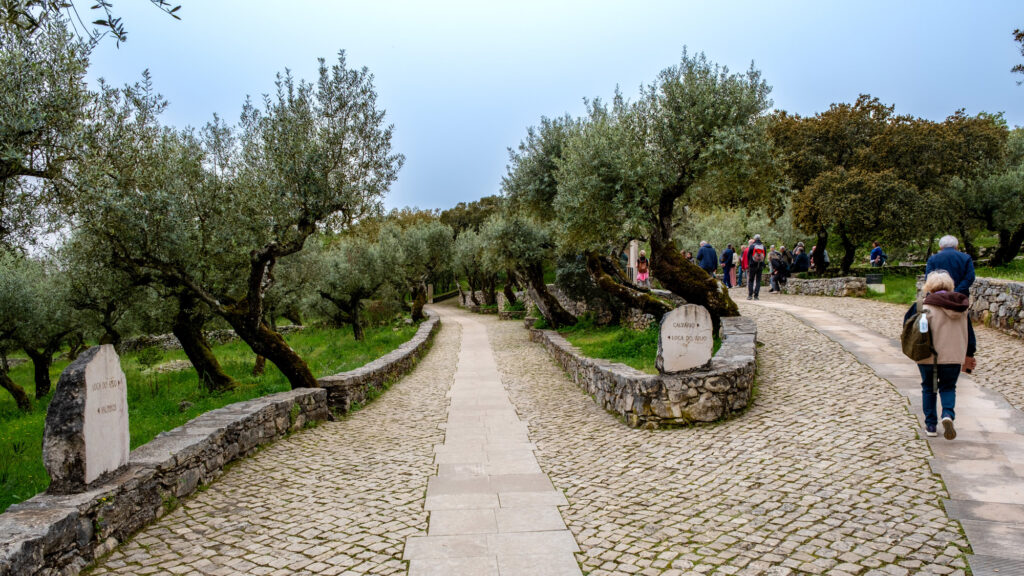 DSF7898-1024x576 L'Importanza della Via Sacra di Fatima