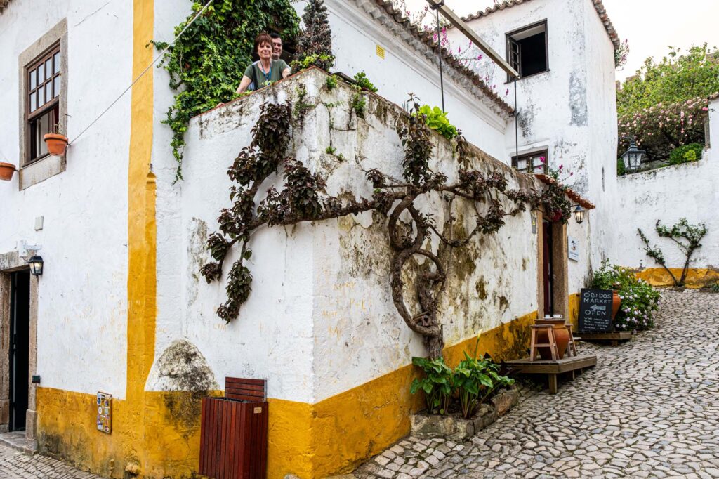 DSF8071-1024x682 Scopri Óbidos: un magico borgo medievale