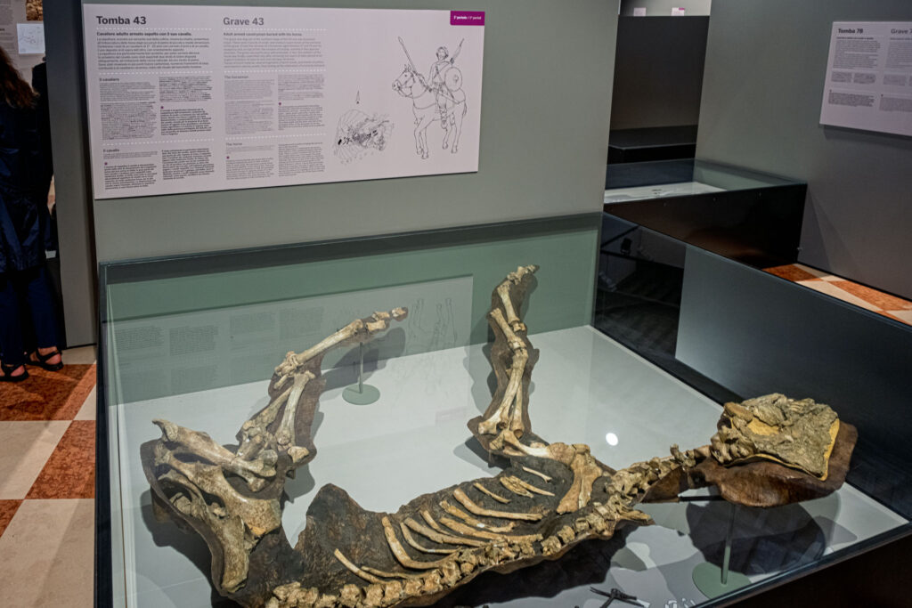 DSF9988-1024x683 Alla Scoperta dei Longobardi nel Museo Nazionale Archeologico di Cividale del Friuli