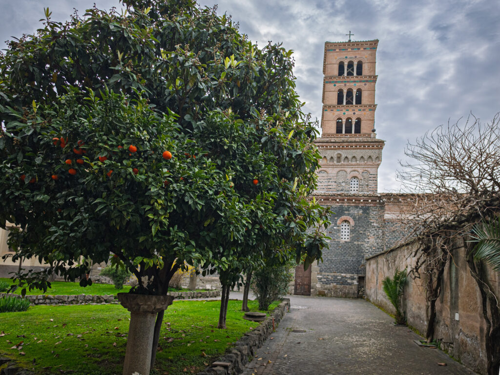 IMG_20250308_093531-1024x767 Echi di storia e sacralità: l'Abbazia di San Nilo e la sua Biblioteca