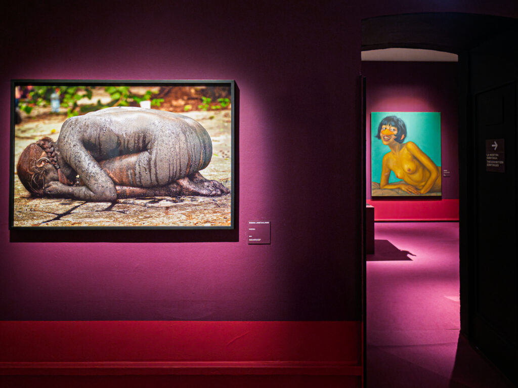 IMG_20250312_155354-1-1024x767 “Da Cindy Sherman a Francesco Vezzoli. 80 artisti contemporanei”, la nuova mostra a Palazzo Reale di Milano