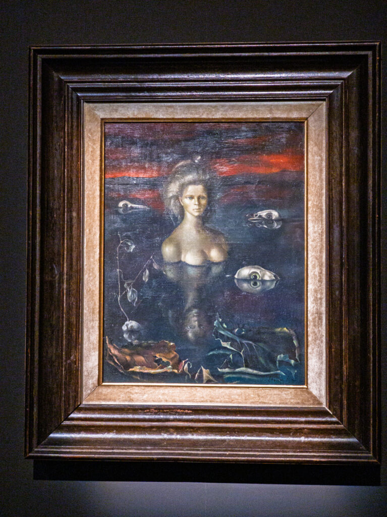 IMG_20250313_152614-767x1024 Io sono Leonor Fini a Palazzo Reale