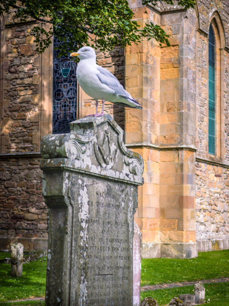 IMG_20250808_105014-767x1024 Dornoch, tra mare e misticismo: scoprire l’anima nascosta della Scozia del Nord
