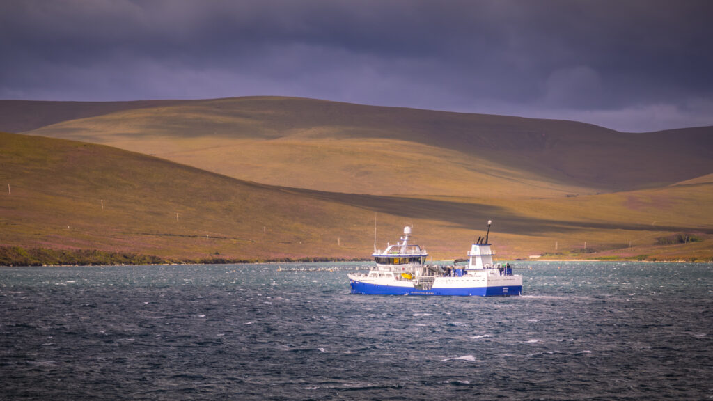 IMG_20250809_095640-1024x576 Isole Orcadi: un viaggio tra la sacralità di Kirkwall e la natura selvaggia di The Gloup e Mull Head